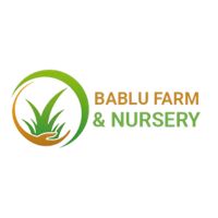 Bablu Farm and Nursery logo